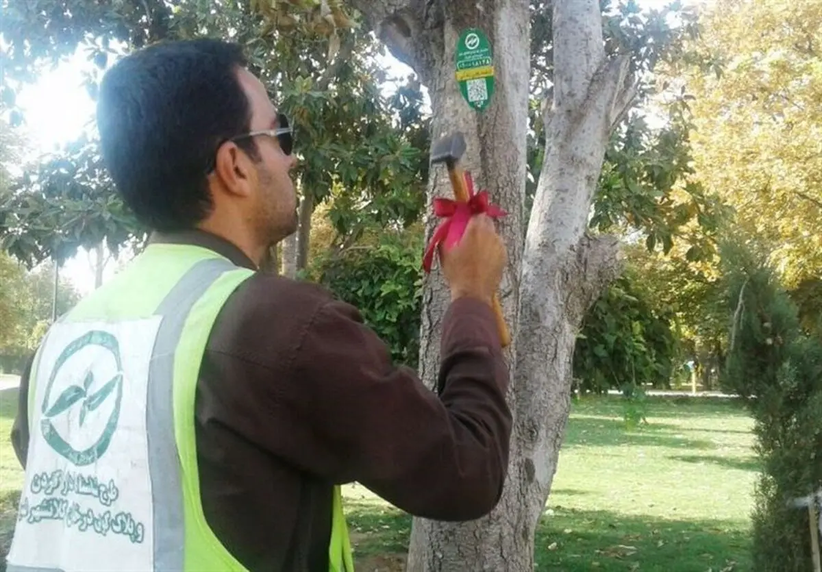 پلاک کوبی درختان