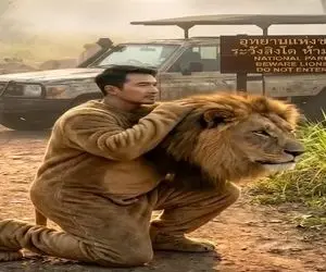 معماری طبیعت؛ مرد لباس شیر پوشید رفت تو گله شون ترسید رو دو پا فرار کرد شیرا هنگ کردن