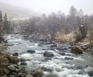 تصویری که یک ایران را خوشحال می‌کند!