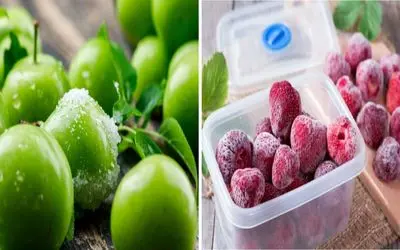میخوای تو تمام فصول گوجه سبز و توت فرنگی تازه داشته باشی؟/ ترفند فریز کردن این دلبرها