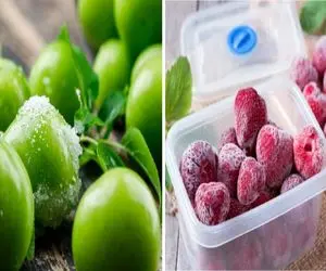 میخوای تو تمام فصول گوجه سبز و توت فرنگی تازه داشته باشی؟/ ترفند فریز کردن این دلبرها
