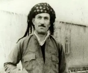 آواز محلی؛ پیرمرد خسته و دلشکسته چه با بغض آهنگ حسن زیرک رو میخونه هوایی میشی