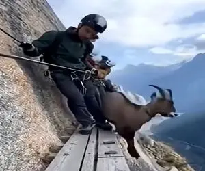 معماری طبیعت؛ یه جایی از کوه رفتن که بزهای کوهی جلو چشم خودشون لفت دادن