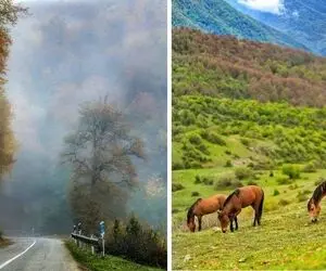 معرفی زیباترین ییلاقات رامسر / مناظری تماشایی و رویاگونه که باید حتما ببینید
