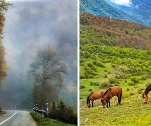 معرفی زیباترین ییلاقات رامسر / مناظری تماشایی و رویاگونه که باید حتما ببینید