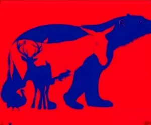 بازی فکری؛ هوش استنتاجی خودت رو با پیدا کردن حیوانات پنهون ثابت کن