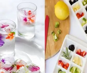 ایده های جذاب و جدید برای درست کردن یخ های طعم دار/ روش درست کردن یخ های ادایی