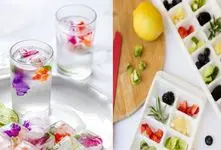 ایده های جذاب و جدید برای درست کردن یخ های طعم دار/ روش درست کردن یخ های ادایی