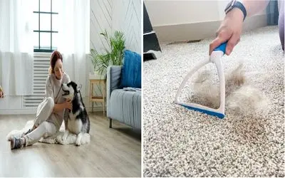 از شر موهای حیوون خانگیت در ۵ دقیقه خلاص شو/ صفر تا صد تمیز کردن موی پت از روی مبل