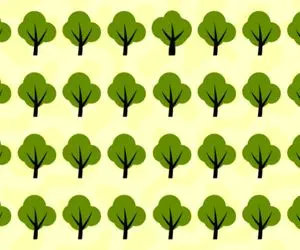 هوش تصویری؛ اگه باهوشا باید پیشت درس پس بِدن بگو کدوم از این درخت ها با بقیه فرق داره!