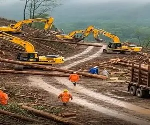 معماری طبیعت؛ کاگرا از همه جا بی خبر از دنیا رفتن
