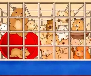 بازی فکری؛ تو قفس موش ها خرگوش رو پیدا کن اگه بتونی 1000 هیچ جلویی