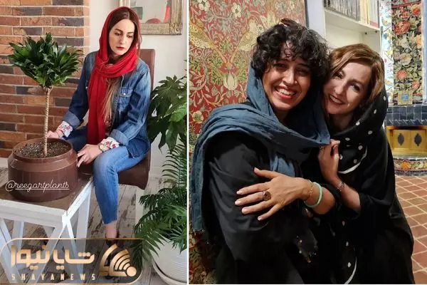 shaghayegh dehghan shayanews