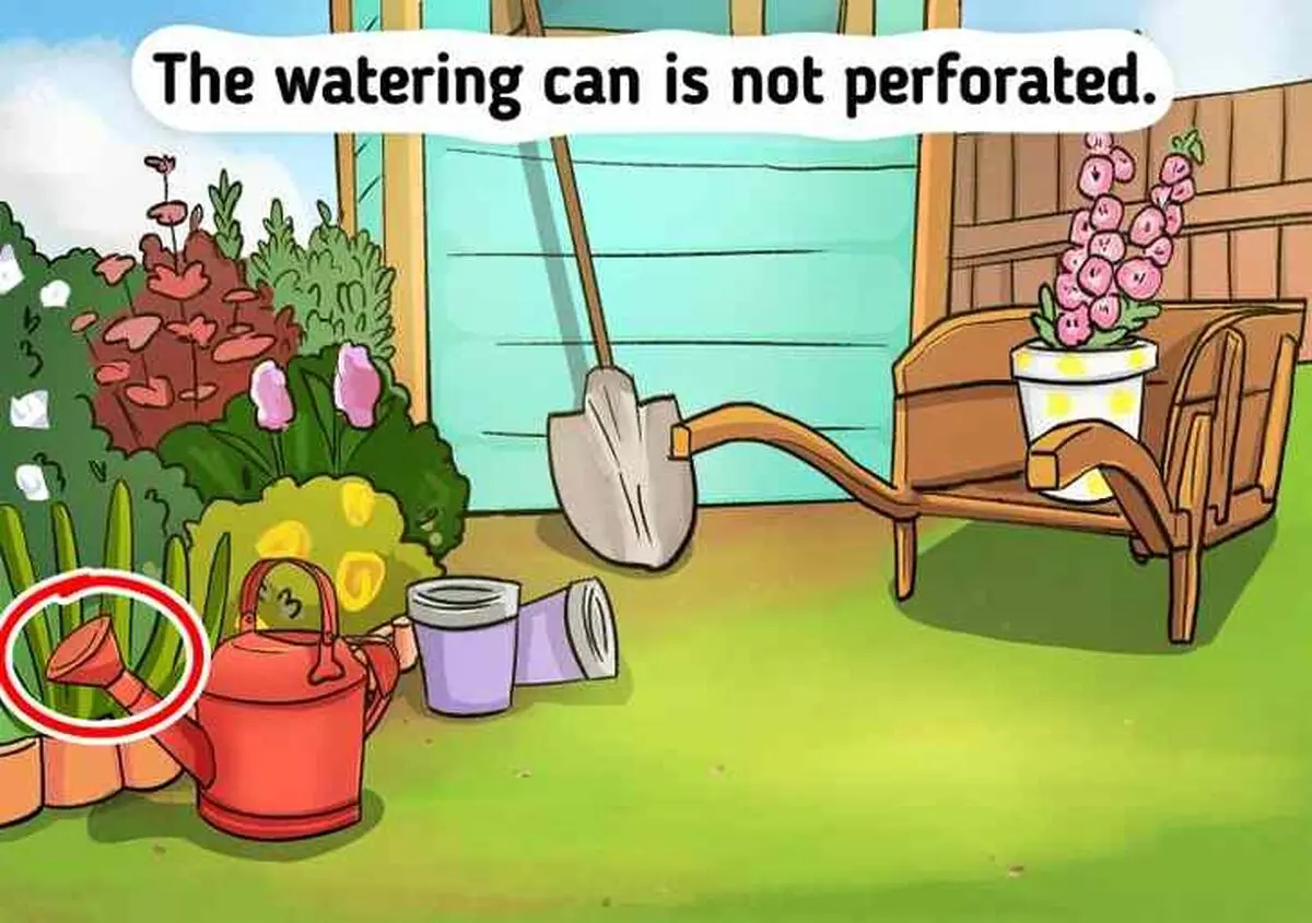 the-mistake-in-garden