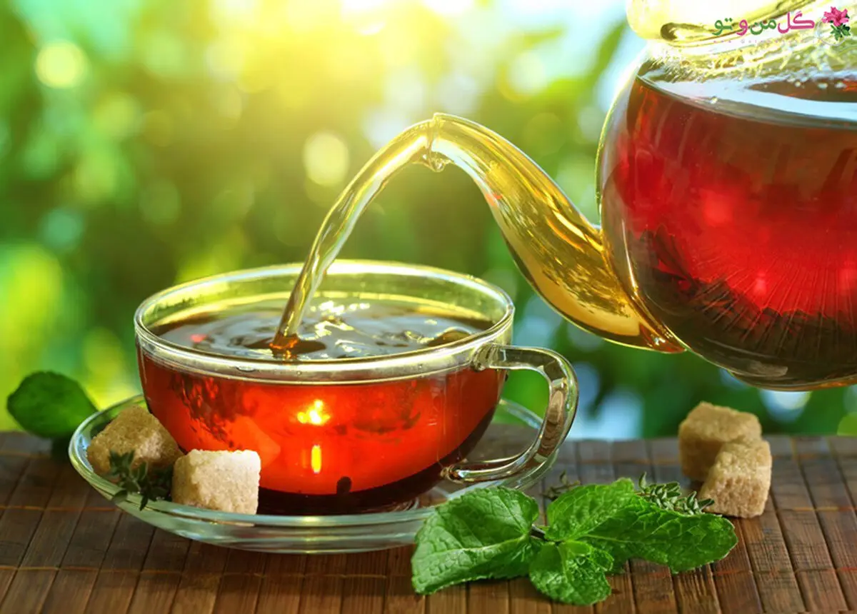 بهترین چای ساز ها