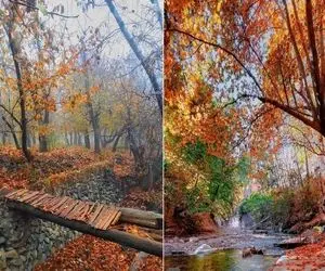 زیباترین روستاهای جاده چالوس در پاییز / تو هوای ملس اینا خش خش برگا زیر پات حال میده