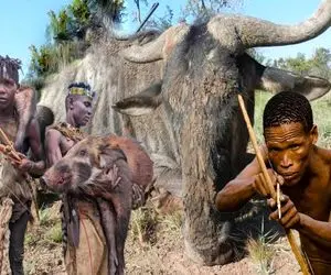 کباب میمون؛ بربرهای برهنه میمون نحیف و کت بسته انداختن تو آتیش نیم پز بلعیدن