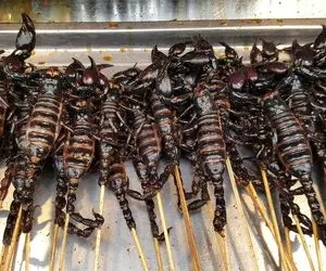 غذای زهرماری؛ عقرب پلو در تایلند غذای محبوب که کنار خیابان‌ها میفروشن