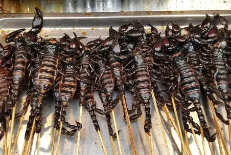 غذای زهرماری؛ عقرب پلو در تایلند غذای محبوب که کنار خیابان‌ها میفروشن