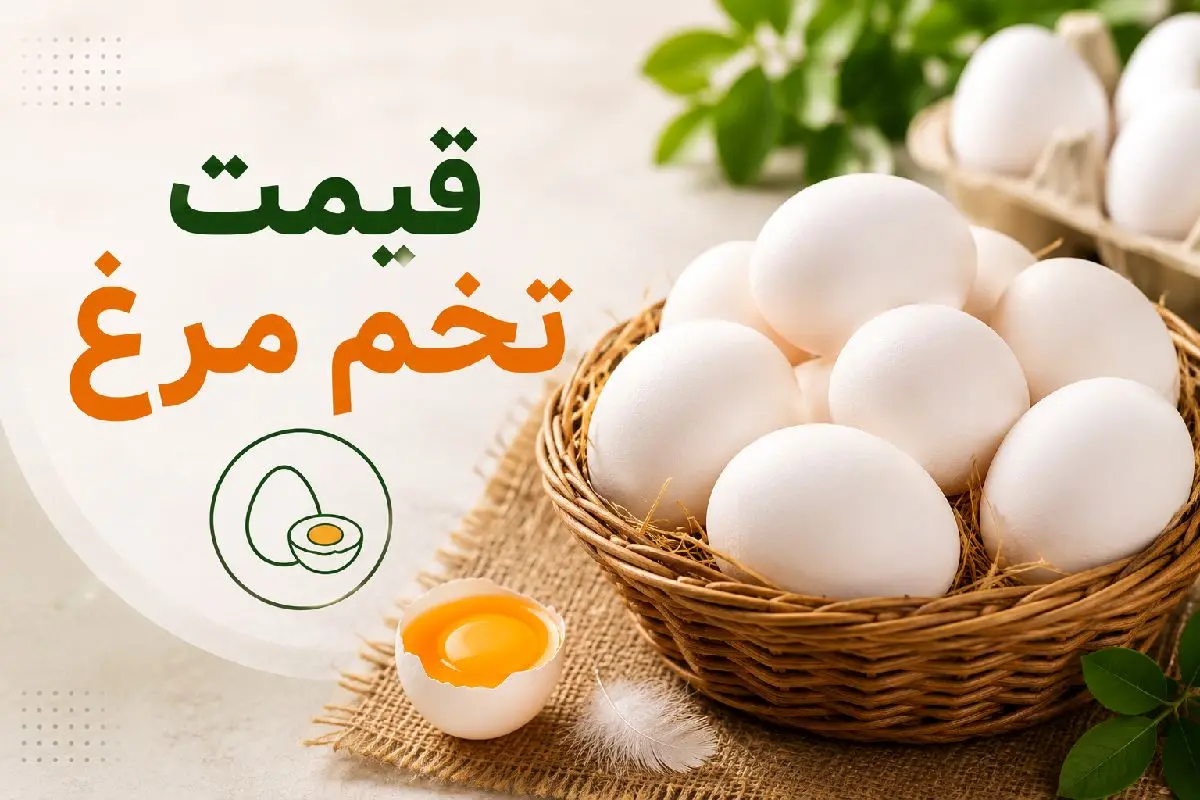 قیمت تخم مرغ امروز پنجشنبه ۸ مرداد ۱۴۰۵ / شانه تخم مرغ ۳۰ تایی چقدر شد؟