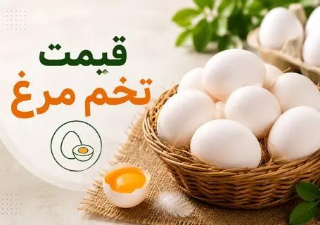 قیمت تخم مرغ امروز پنجشنبه 8  مرداد 1405 / شانه تخم مرغ 30 تایی چقدر شد؟