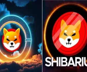 تحولی جنجالی از شیباریوم!