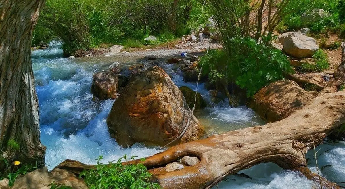 دهات2