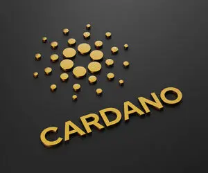 کاردانوی کانگورو یعنی چه؟