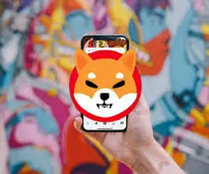 علت نادیده گرفتن شیبااینو؟!