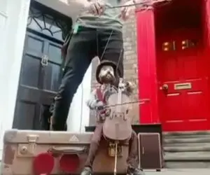 آواز خیابانی؛ جل الخالق آقاهه با آهنگ احساسیش اونم با عروسک گردون همه رو بغضی کرد