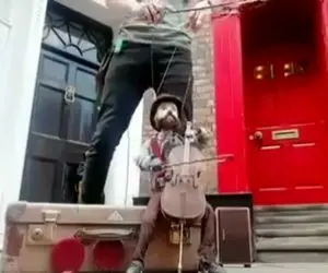 آواز خیابانی؛ جل الخالق آقاهه با آهنگ احساسیش اونم با عروسک گردون همه رو بغضی کرد