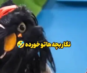 سکانس خندان؛ افتو خطاب به رامبد: نگار بچه هاتو خورده