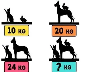 بازی فکری؛ این معمای ریاضی نوعی معمای فکری است که در آن باید مقدار گمشده را پیدا کنید
