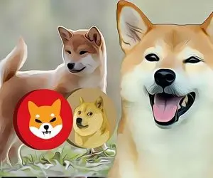 پیشگویی حیرت آور از شیبااینو و دوج کوین!