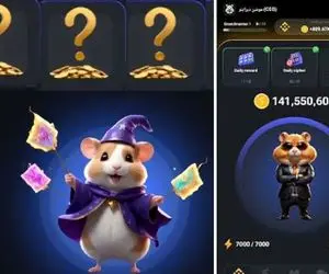 کارت های امروز همستر کامبت 6 شهریور 1403 سه شنبه + آموزش وارد کردن