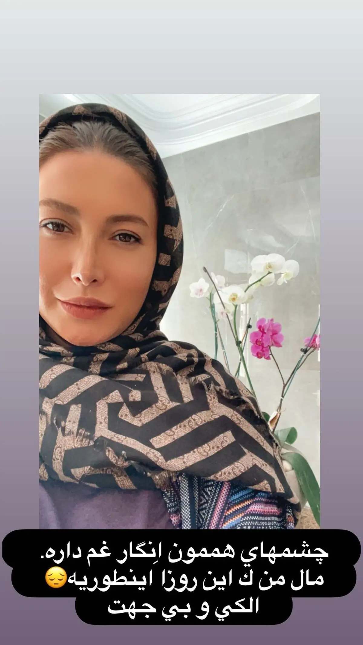 فریبا نادری