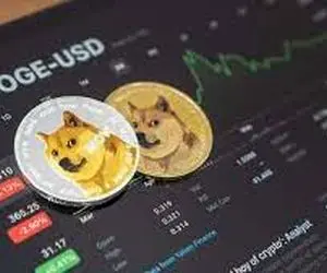 بااین اتفاق مرگ دوج کوین امضاء خورد؟