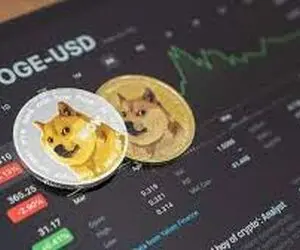 بااین اتفاق مرگ دوج کوین امضاء خورد؟