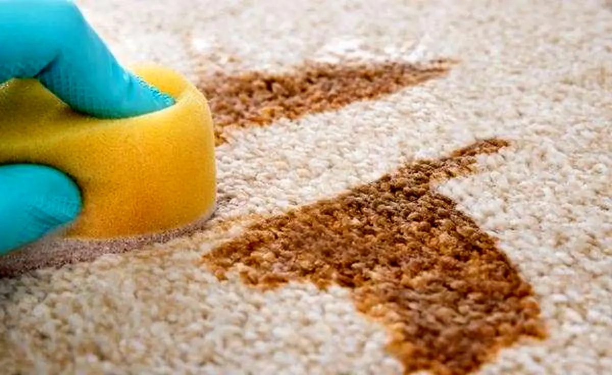 پاک کردن لکه ی چای از روی فرش