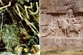 خبر داغ! کتیبه‌ای از دوران ساسانی بر صخره‌های مرودشت کشف شد؛ دستیابی به رموز کیهانی 