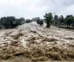 خسارت دیدن چندین خودرو در سیل جاده چالوس 