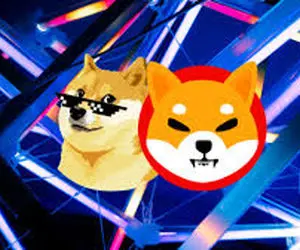 کار تحسین برانگیز شیبااینو ودوج کوین باگاوها!