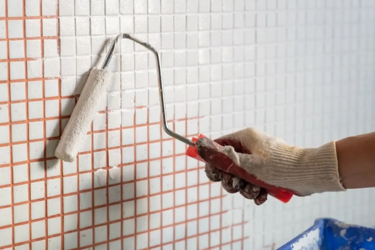 کاش4654