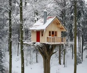 معماری خلاقانه؛ یک درخت باستانی را به یک خانه درختی بی‌نظیر تبدیل کرد