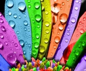 روانشناسی رنگ ها؛ شخصیت شما چه رنگی است؟