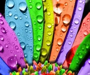 روانشناسی رنگ ها؛ شخصیت شما چه رنگی است؟