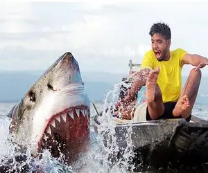 دنیای آبزیان؛ کوسه سرکش آرواره‌ هاشو کرد تو پای پسر بدبخت خون پاشید تو دهنش