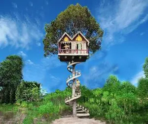 معماری خلاقانه؛ وسط جنگل بلندترین درخت و تراشید نوکش خونه نقلی اعیونی ساخت