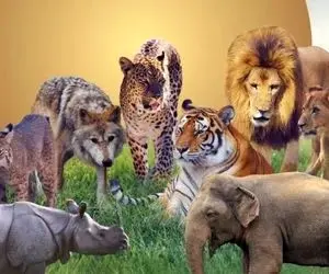 مستند حیات وحش؛ حیوانات که قوانین طبیعت را به چالش میکشند