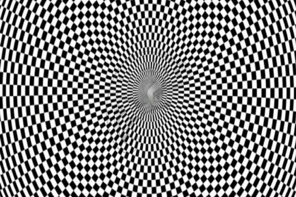 بازی فکری؛ 99 درصد مردم نتونستن عکس مخفی تو تصویرو درست حدس بزنن؛ تو میتونی؟